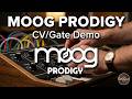 MOOG PRODIGY Analog Synthesizer sequenced by RetroSound