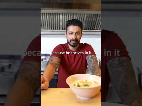 Damensch-#TheMostComfotableMan