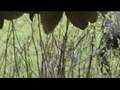 New sound equipment test 1