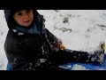 luge