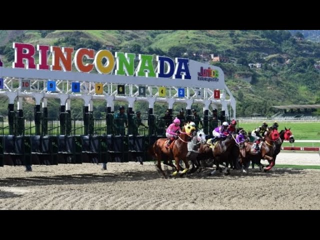 Los Cronometros de Javier Flores para este Domingo en La Rinconada.