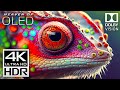 HEAVEN OF ALL 4K VIDEOS - DOLBY VISION 4K HDR ..