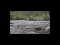 Stream 2