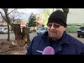 Körkép - Kidőlt fák a Rózsa utcában 2020.02.07. Körkép - Kidőlt fák a Rózsa utcában 2020.02.07.