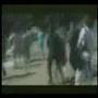 Dientes de Cordero / Memoria del saqueo / Argentina 2001