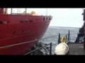 Sea Shepherd Farley Mowat Rammed - Seal Defense Campaign 08