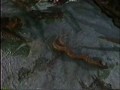 Resident Evil 4-D Executor original part 1