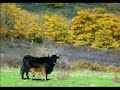 abandoned villages in the highlands of soria