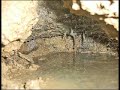 SEWER DRAIN URINAL FRUIT FLIES FLY ATTACK AND INVADE MY HOME SEWER DRAIN URINAL FRUIT FLIES FLY ATTACK AND INVADE MY HOME
