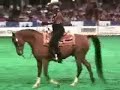 US Arabian Western Pleasure Open Final