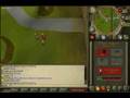 videos de 508 RuneScape Priv (MegaScape)