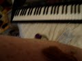 Crested Gecko Crawls Up My Arm Crested Gecko Crawls Up My Arm