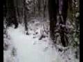 videos de Dirtbiking in the snow