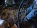 steel factory refractory shotcrete ( gunite ) delta mini