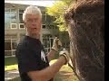 Patrick Dougherty Artist Profile