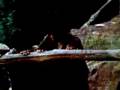 Fitzcarraldo