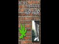 alte schule hip hop haut den ersten damn shit raus: mr. schnabel - meins is your�s feat. phatom black