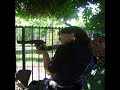 gatita2.wmv