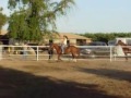 Barrels