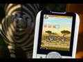 Madagascar 2 - Mobile Game