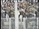 VIDEO ARHIVA JUG-A-secanje 89/90-Zagreb
