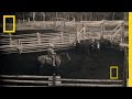 National Geographic Live! - 21st-Century Cowboys