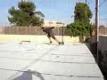 ninja for hire
