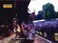 The Wildhearts - Vanilla Radio