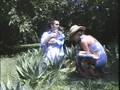 Mañanas Campestres - Videoclip 2006