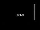 Stem Cells and Beyond Part 2 Stem Cells and Beyond Part 2
