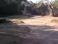 SAN JUAN BUENA VISTA, CERCA DE EL REFUGIO EN AHUACHAPAN, EXACTAMENTE EN LA POSA DEL CHORRO