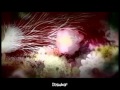 Jigoku Shōjo trailer Originally it has been unfinished work, but i like the way it turned out to be like some kind of intro. Jigoku Shōjo was produced by Aniplex and Studio Deen and is based on Miyuki Etō´s manga.