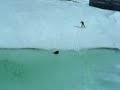 Spectacular Ski-Crash on pool of water in the middle of a skiing-slope in alpine resort Davos Parsenn.