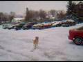 Looc trying to get traction