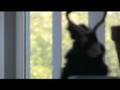 FNZRadio.com TV Bumper