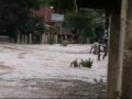 Typhoon Pepeng in Villasis, Pangasinan