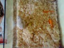 Asa-hamster-nebun-tu