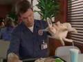Scrubs, Janitor & Bingo