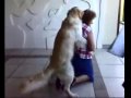Cachorro fazendo caridade pra tiazinha do MAS. Quá Quá Quá Quá Quá Quá Quá