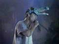 mundo-animal