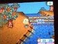 Animal Crossing WI-FI  McKenzie's Town Tournament