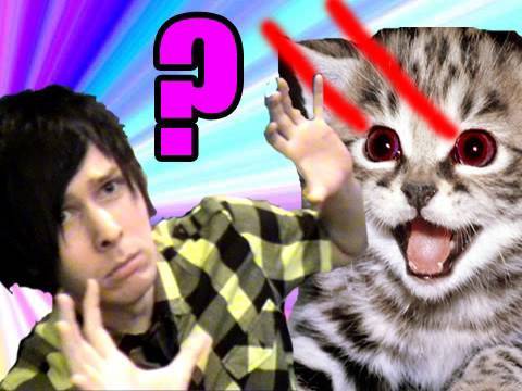 Which Deadly Animal Are You?!