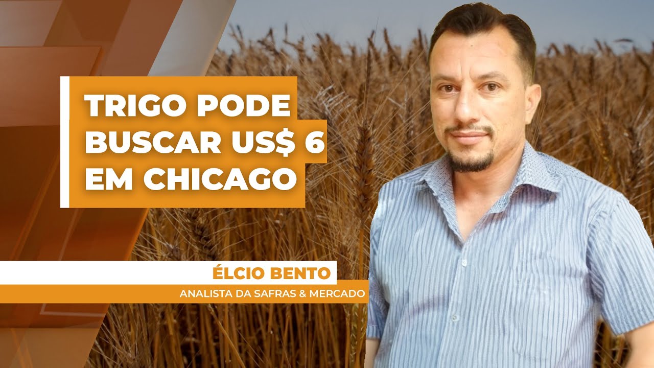Preços do trigo podem encontrar suporte no clima e buscar caminho rumo aos US$ 6,00 em Chicago