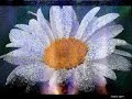 o amor você e eu