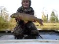 7lb common carp