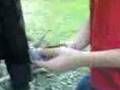 videos de dani alle prese con povia :)