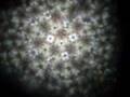 teleidoscope080511