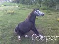 Boycee And Casper