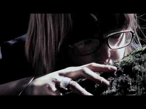 Video de Bestia (Toy Selectah MexMore remix) de Hello Seahorse!