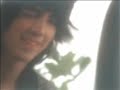 Bad Girl Trailer Bad Girl Trailer
